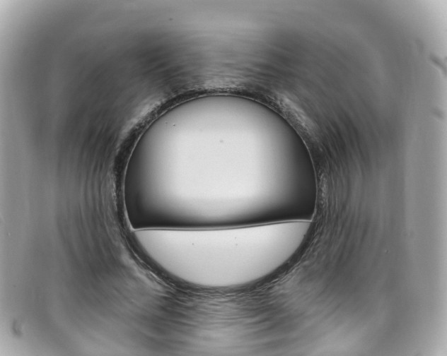 X0000099320684200805020753