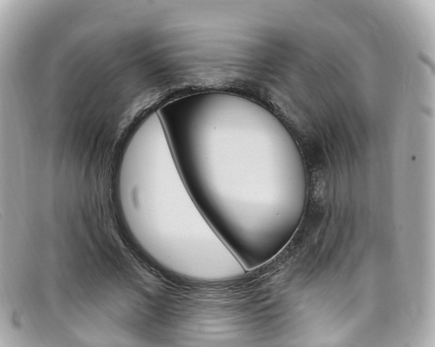 X0000099320685200805020753