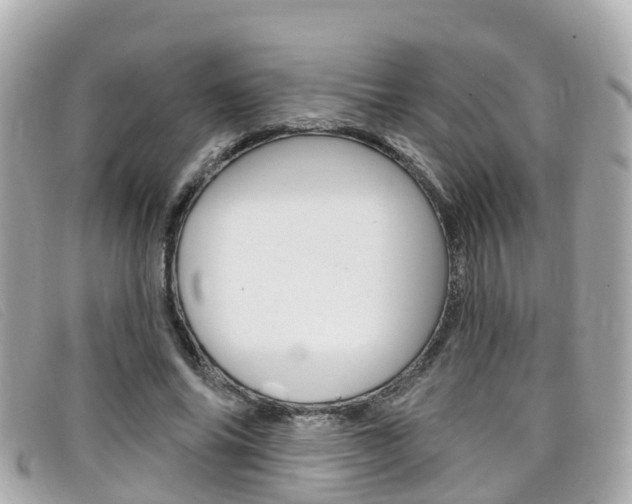 X0000099320686200805020753