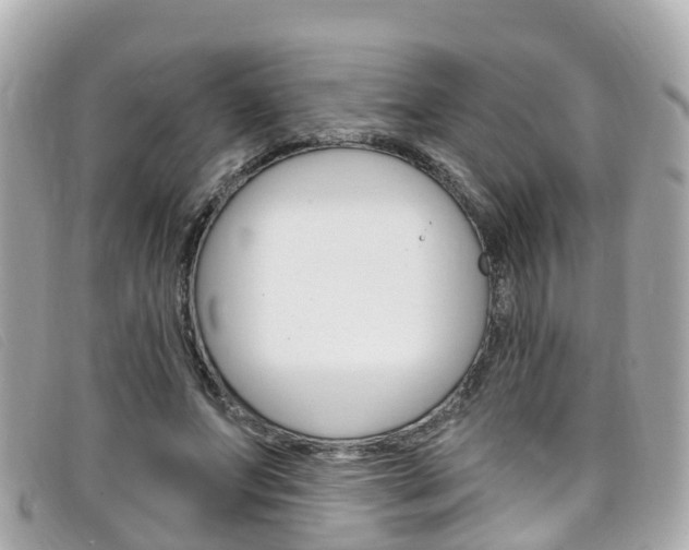X0000099320687200805020753