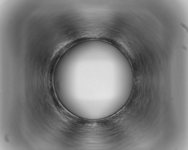 X0000099320688200805020753