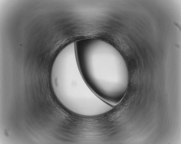 X0000099320689200805020753