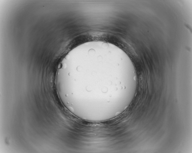 X0000099320698200805020753