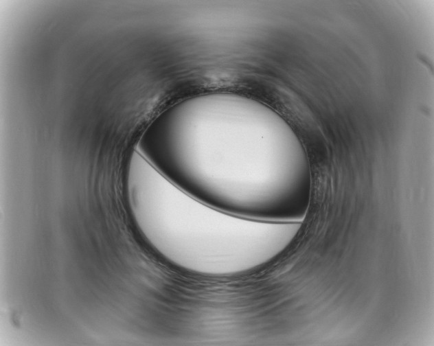 X0000099320700200805020753