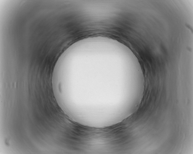 X0000099320701200805020753