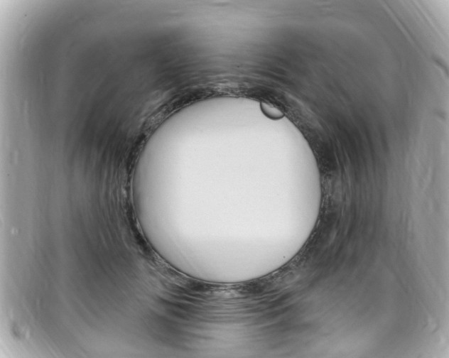 X0000099320702200805020753