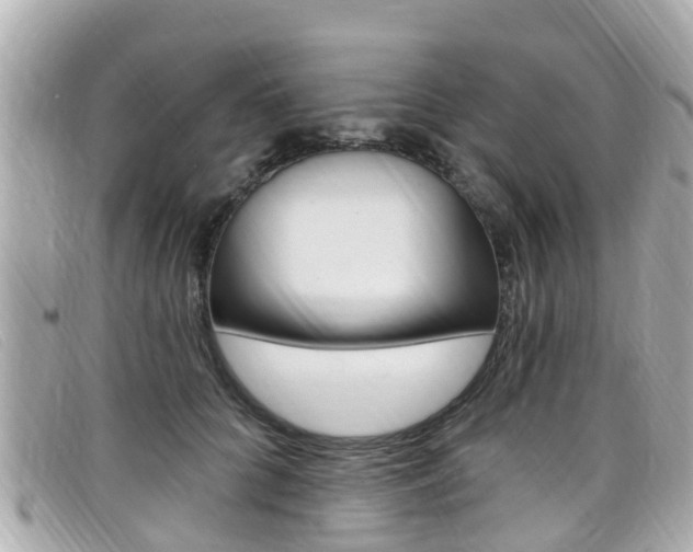X0000099320704200805020753