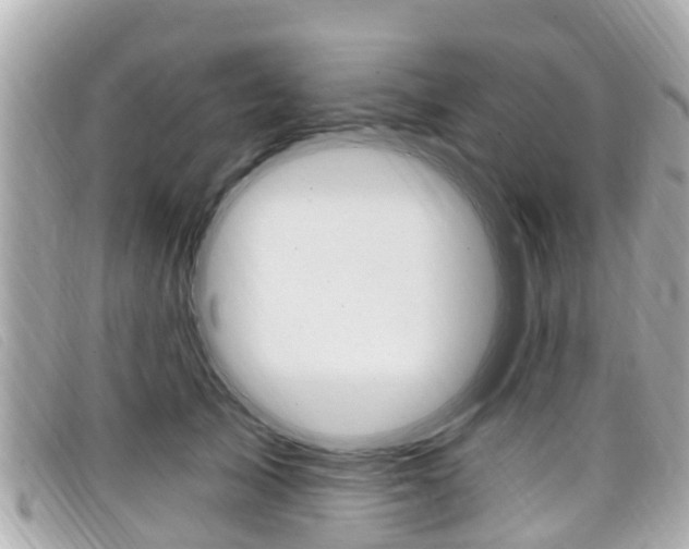 X0000099320705200805020753