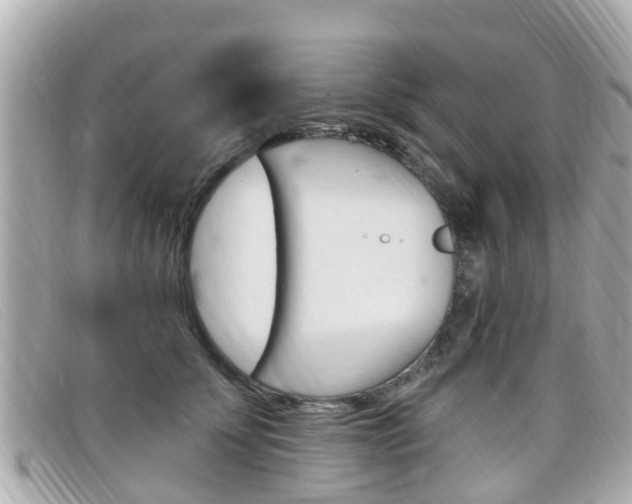 X0000099320707200805020753