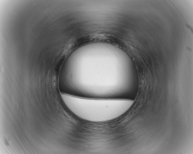 X0000099320708200805020753