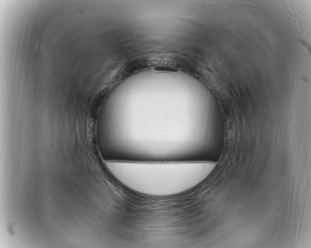 X0000099320712200805020753