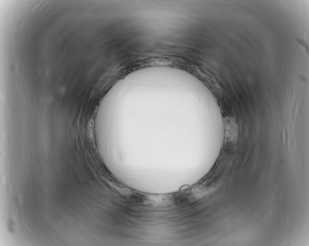 X0000099320713200805020753