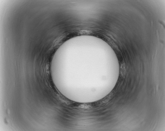X0000099320714200805020753