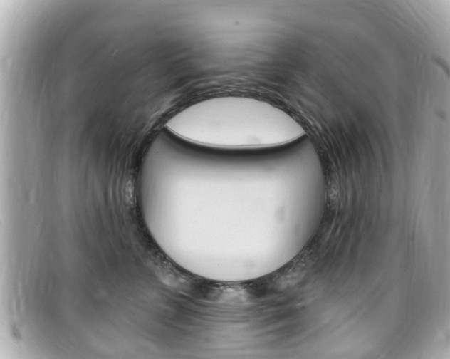 X0000099320715200805020753