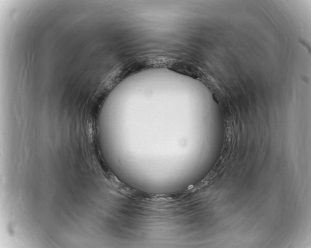 X0000099320716200805020753