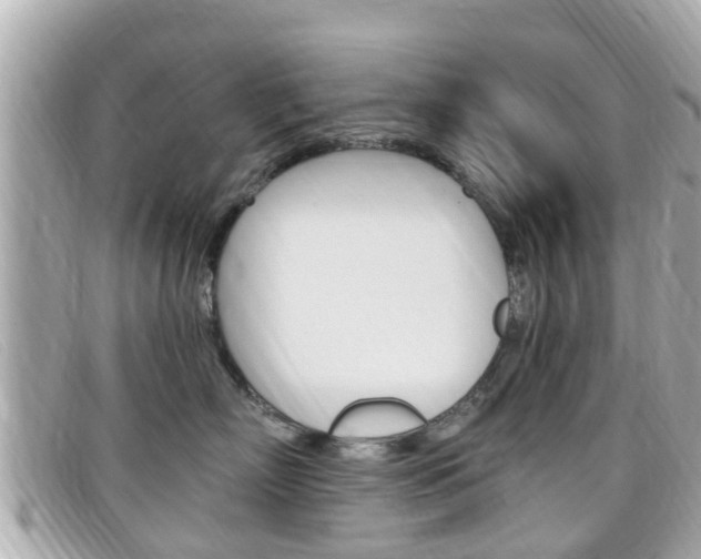 X0000099320718200805020753