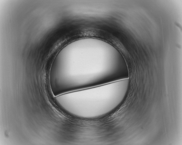 X0000099320722200805020752