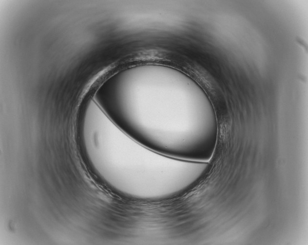 X0000099320724200805020752
