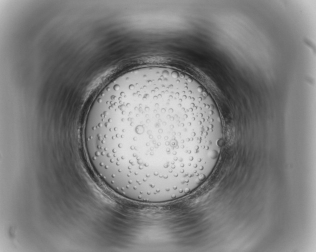 X0000099320725200805020752