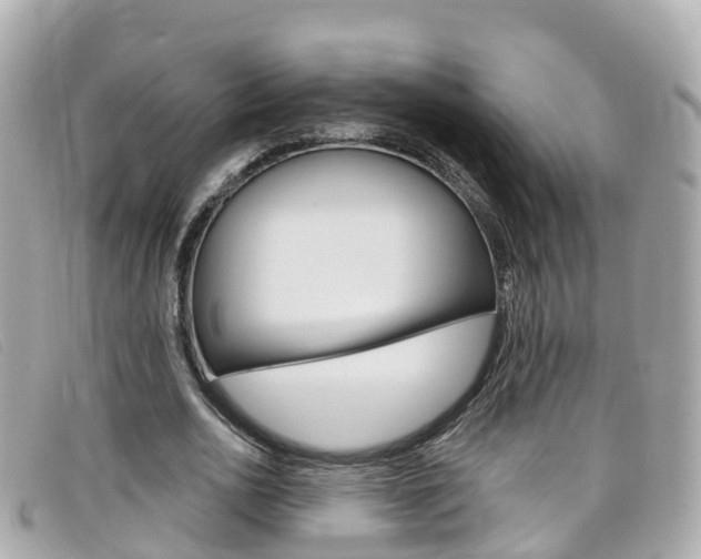 X0000099320726200805020752