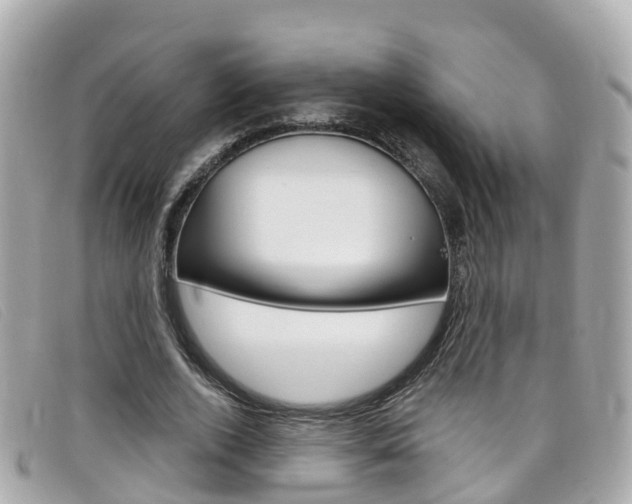 X0000099320728200805020752