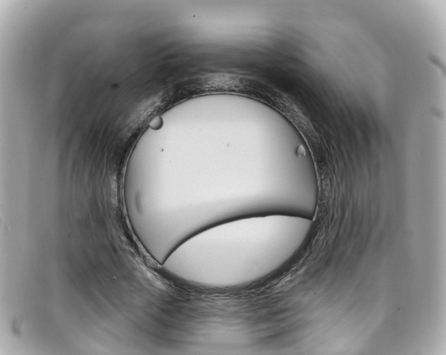 X0000099320729200805020752