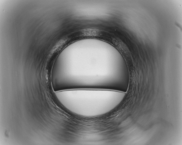 X0000099320731200805020752