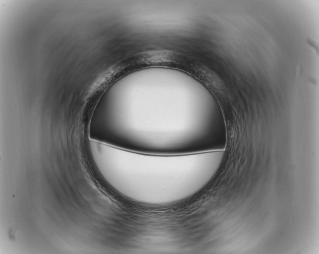 X0000099320732200805020752
