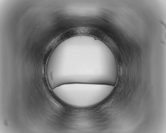 X0000099320733200805020752