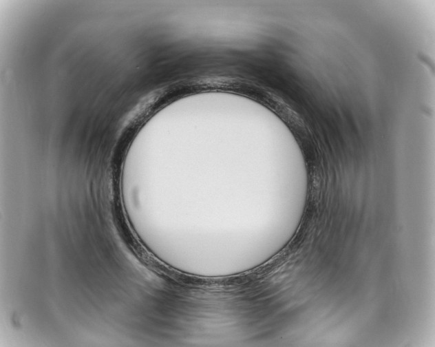 X0000099320734200805020752