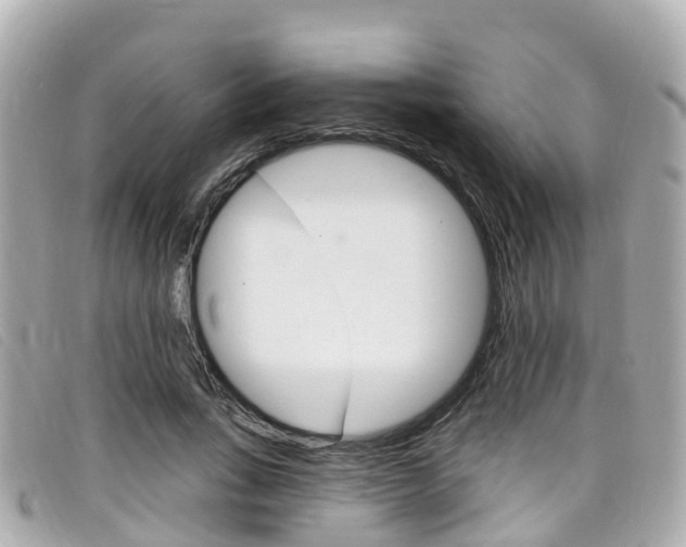 X0000099320735200805020752