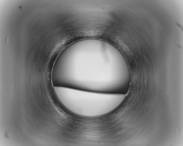 X0000099320736200805020752