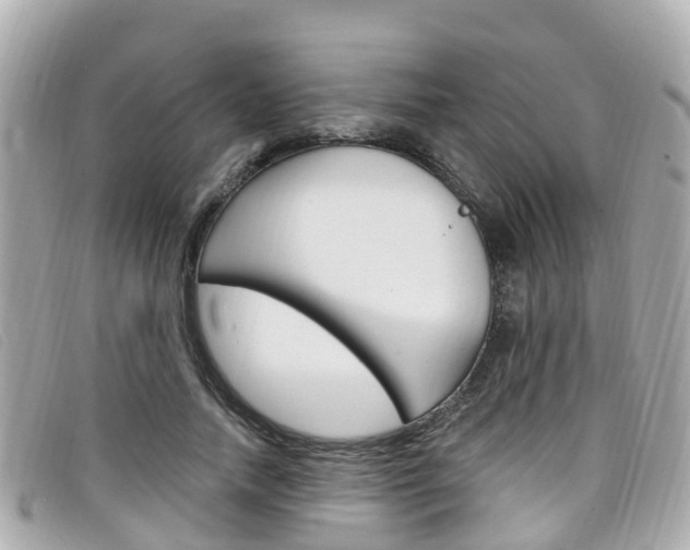 X0000099320738200805020753