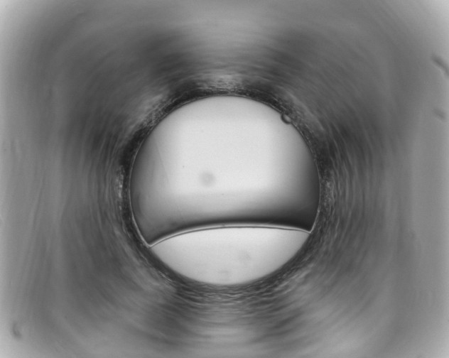 X0000099320739200805020753