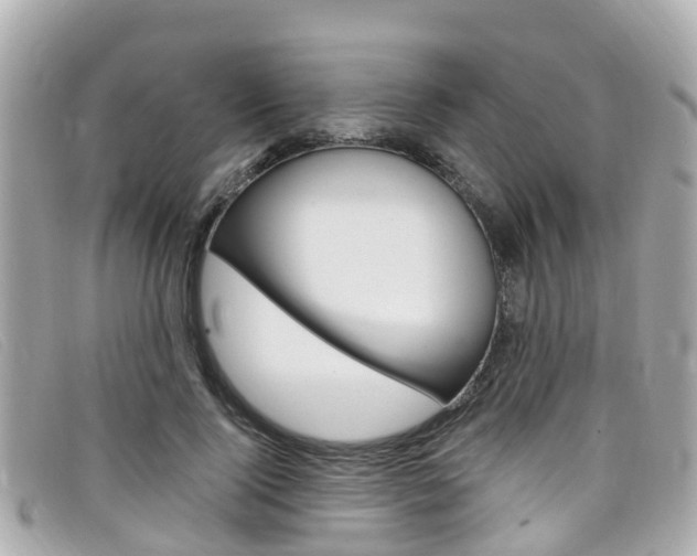 X0000099320740200805020753