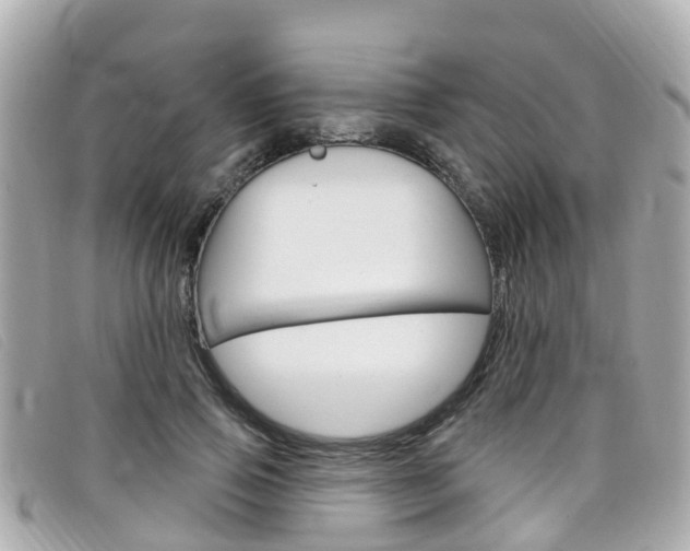 X0000099320741200805020753