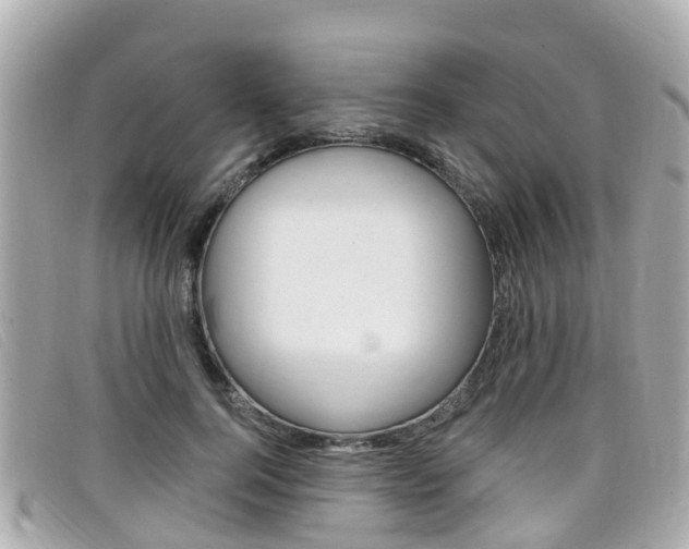 X0000099320744200805020753