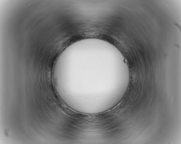 X0000099320745200805020753