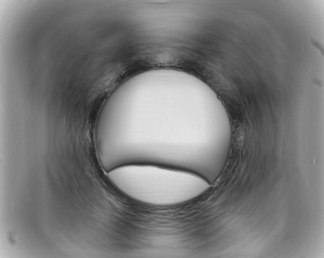 X0000099320746200805020753