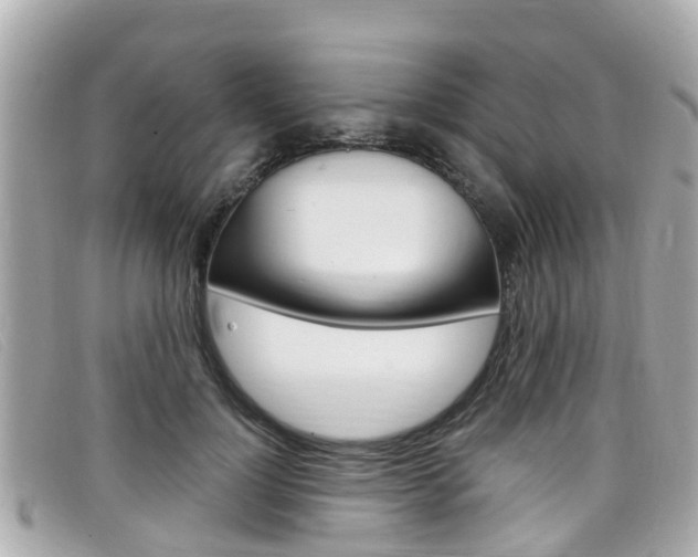 X0000099320748200805020753