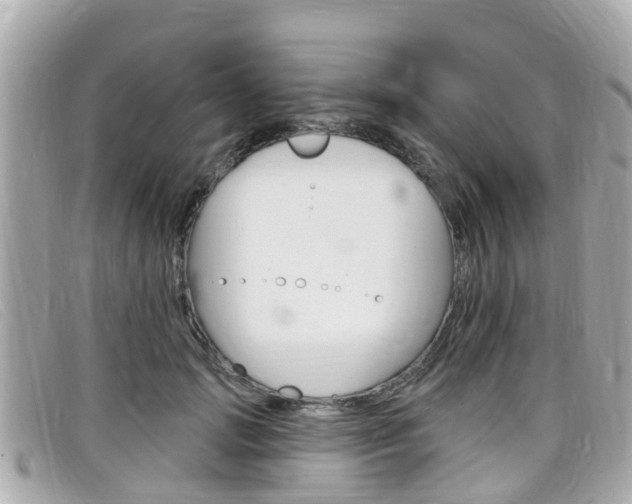 X0000099320749200805020753