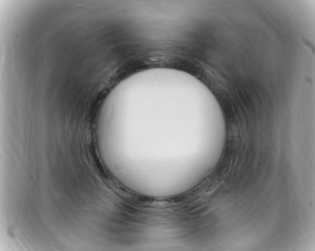 X0000099320751200805020753