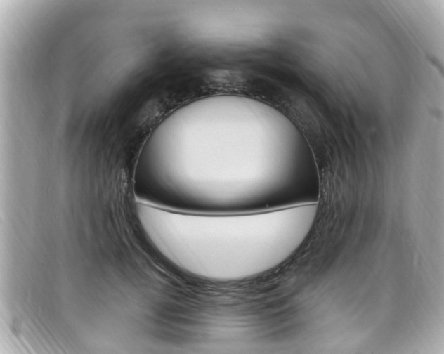 X0000099320752200805020753