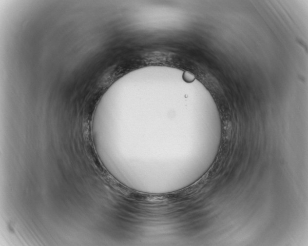 X0000099320753200805020753