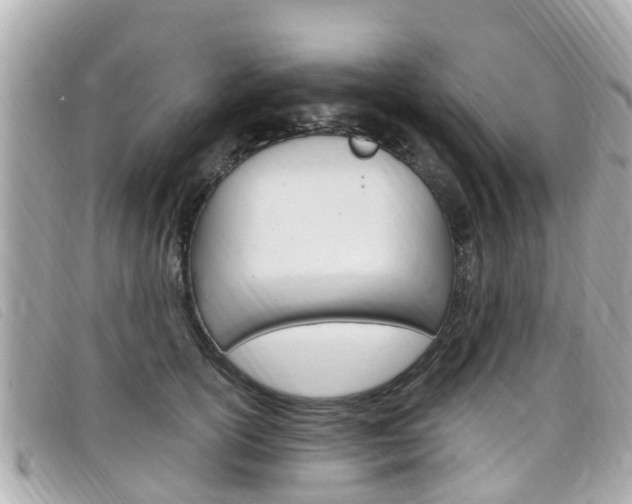 X0000099320754200805020753