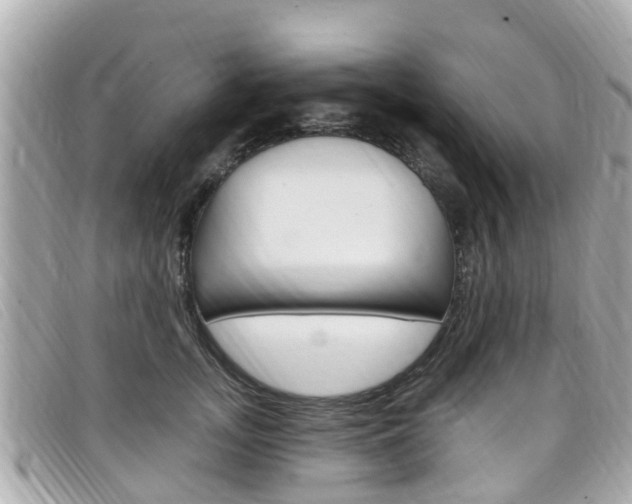 X0000099320755200805020753