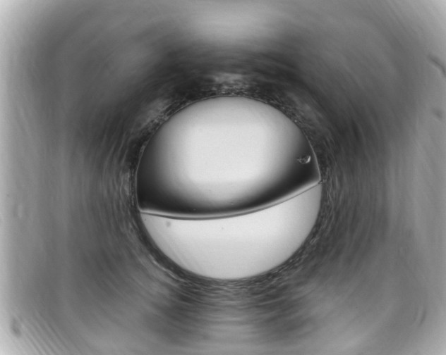 X0000099320756200805020753