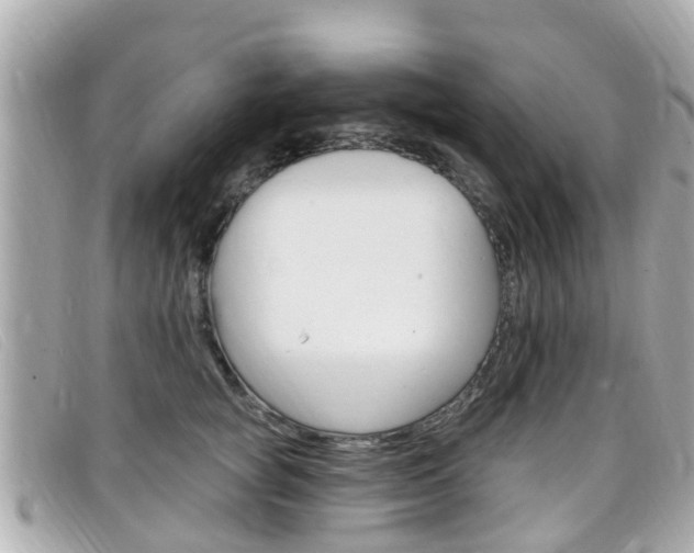 X0000099320757200805020753