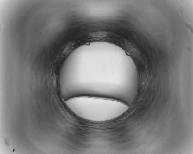X0000099320758200805020753