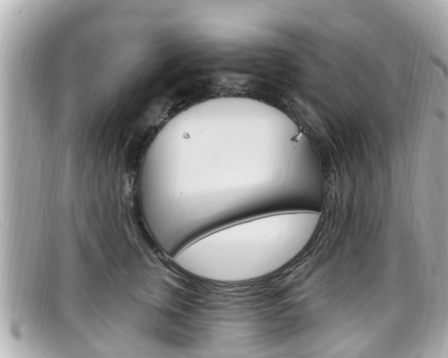 X0000099320759200805020753